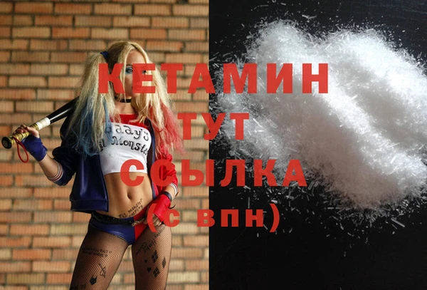 трава Белокуриха