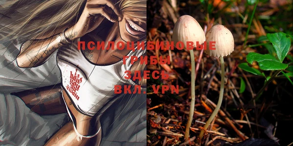 MDMA Беломорск