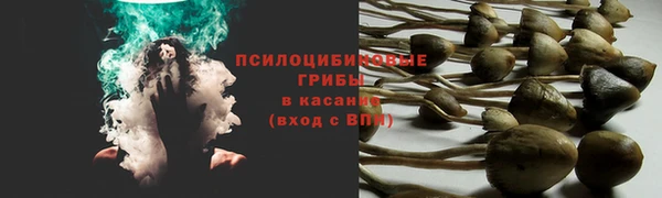 MDMA Беломорск