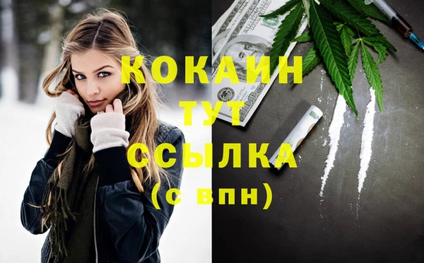 трава Белокуриха