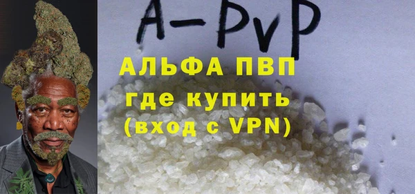 трава Белокуриха