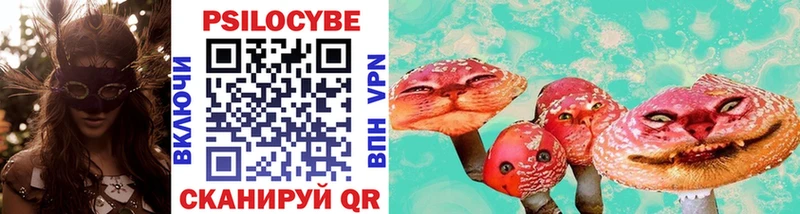 Псилоцибиновые грибы прущие грибы  Безенчук 